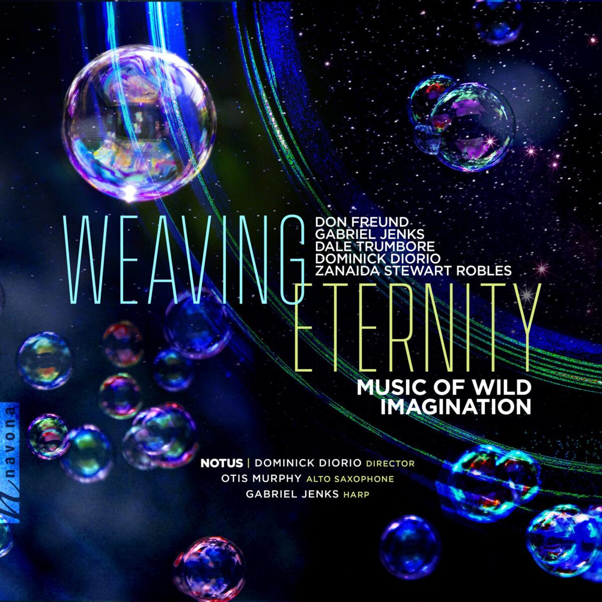 WEAVING ETERNITY: Music of Wild Imagination album cover